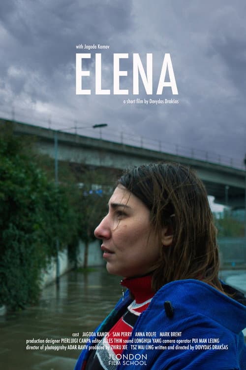 Постер: Elena