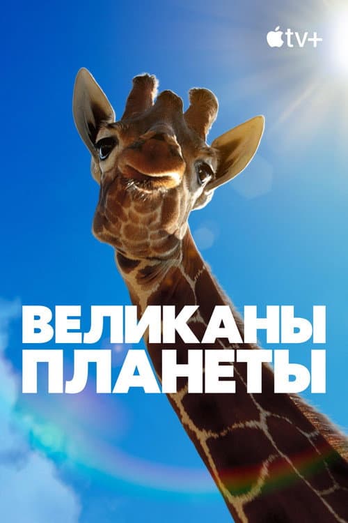Кадр 5