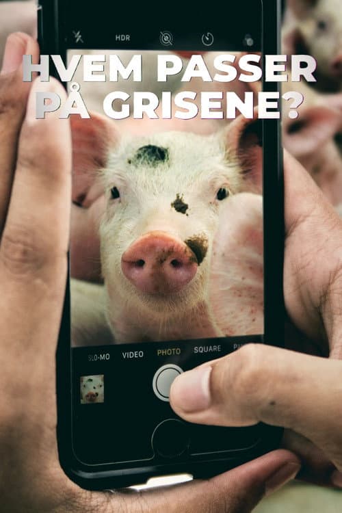Постер: Hvem passer på grisene?