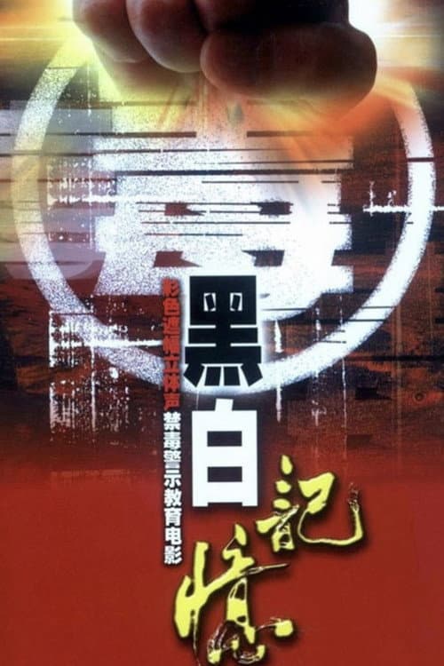 Постер: 黑白记忆
