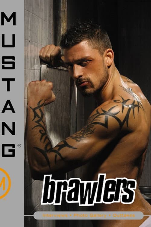 Постер: Brawlers
