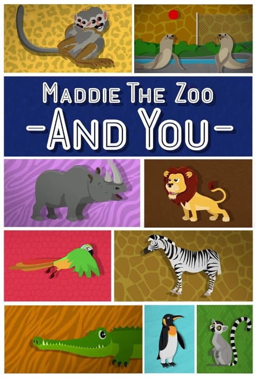 Постер: Maddie, the Zoo and You