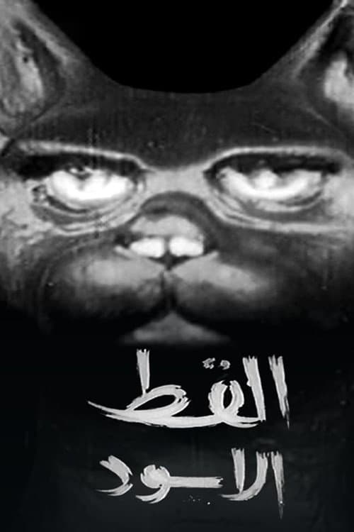 Постер: القط الأسود