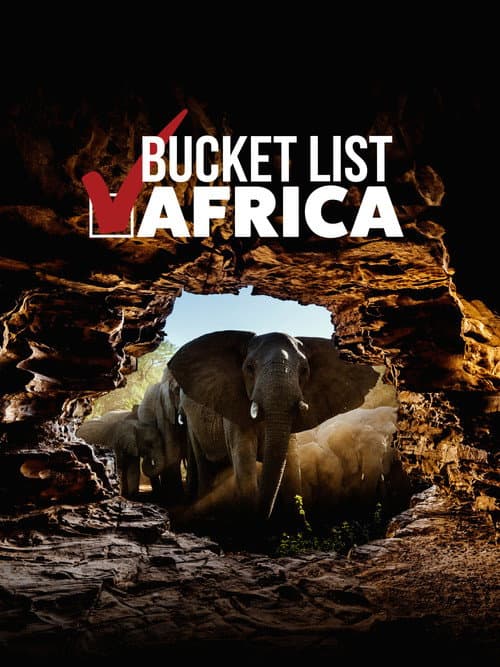 Постер: Bucket List: Africa