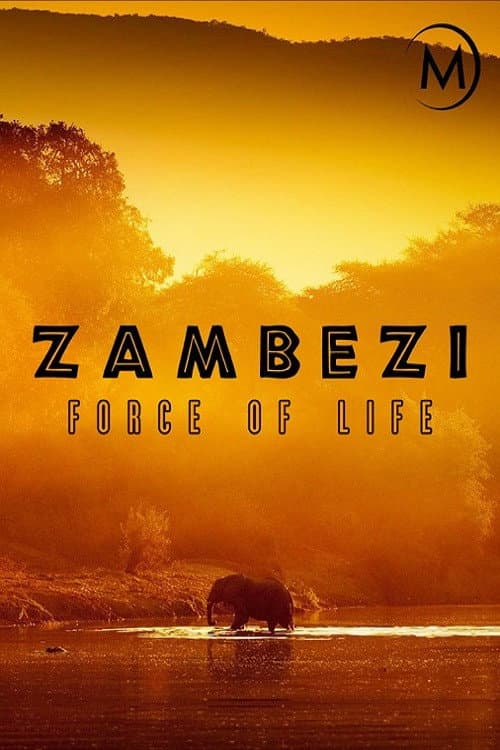 Постер: Zambezi: Force of Life