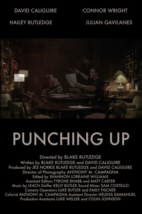 Постер: Punching Up