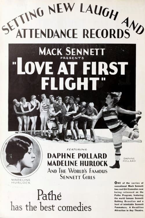 Постер: Love at First Flight