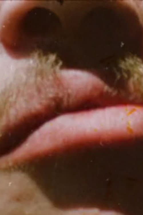 Постер: Invocations of Canyons and Boulders (for Stan Brakhage)
