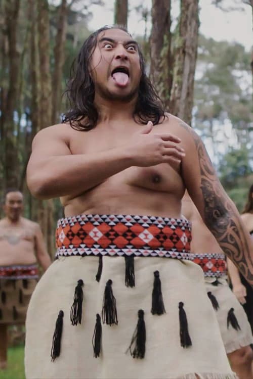 Постер: NZ Wars - The Stories Of Ruapekapeka