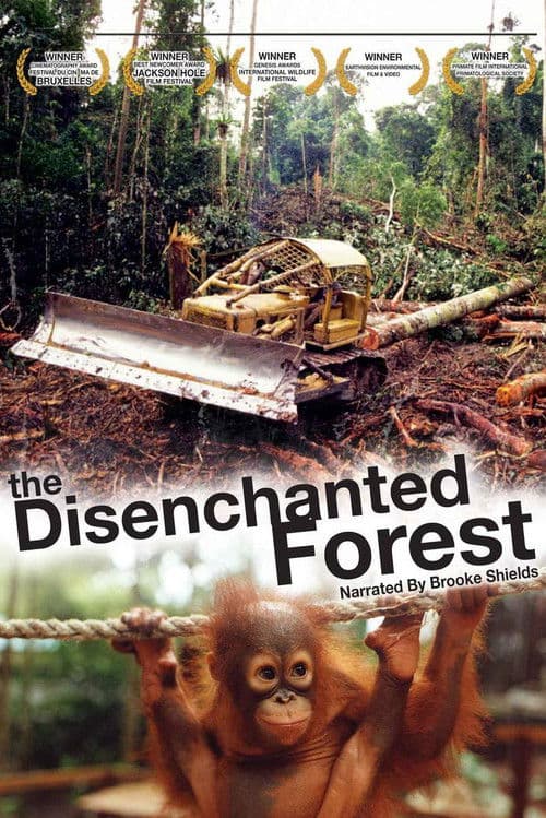 Постер: Disenchanted Forest