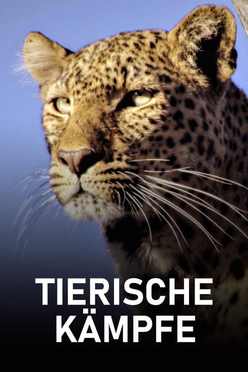 Постер: Tierische Kämpfe