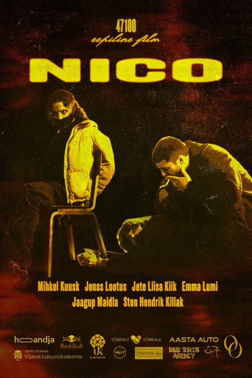 Постер: Nico
