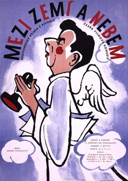 Постер: Mezi nebem a zemí