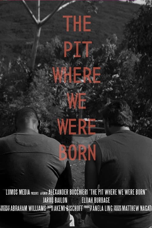 Постер: The Pit Where We Were Born
