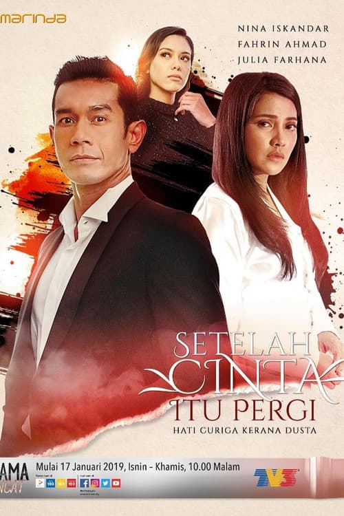 Постер: Setelah Cinta Itu Pergi