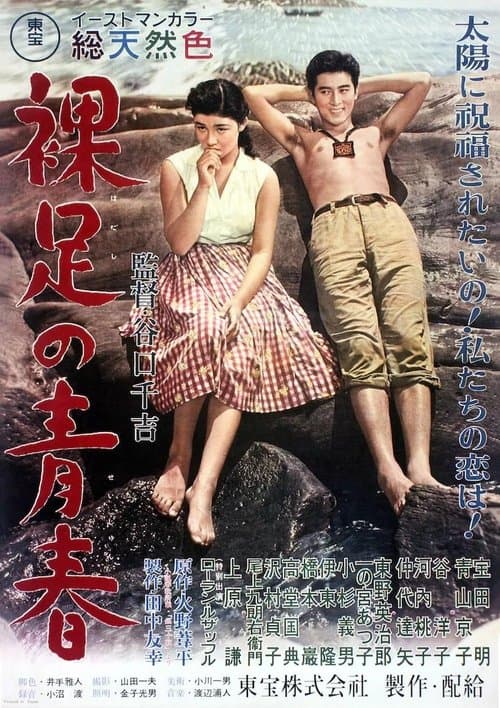 Постер: 裸足の青春