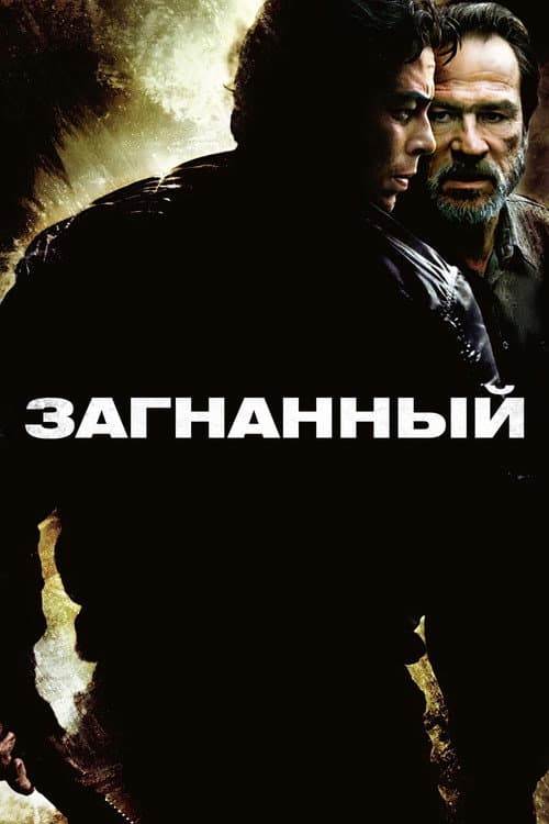 Постер 4