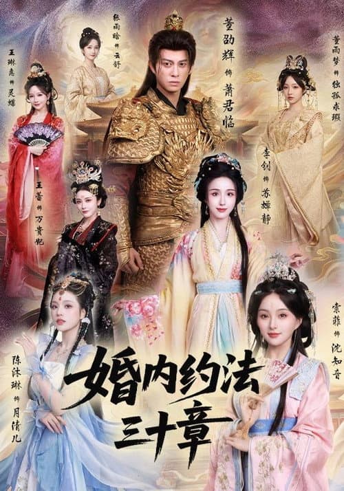 Постер: 婚内约法三十章