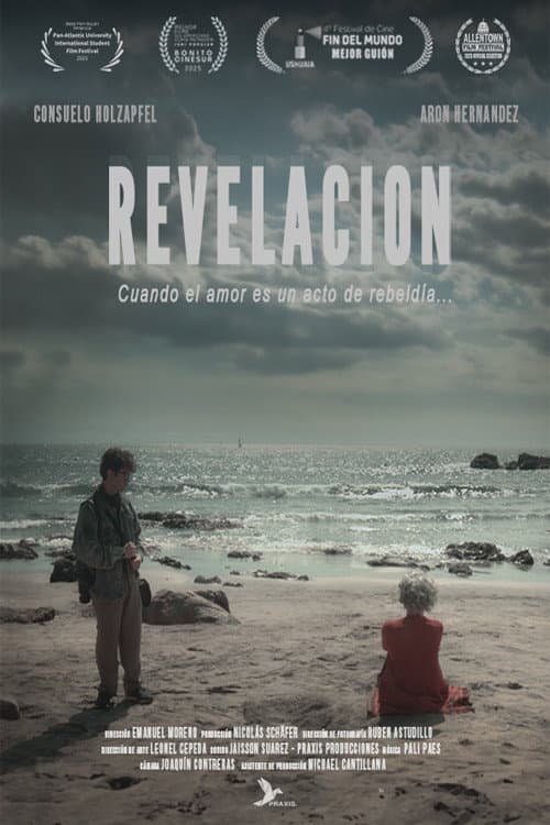 Постер: Revelación
