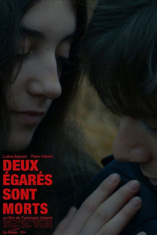 Постер: Deux égarés sont morts