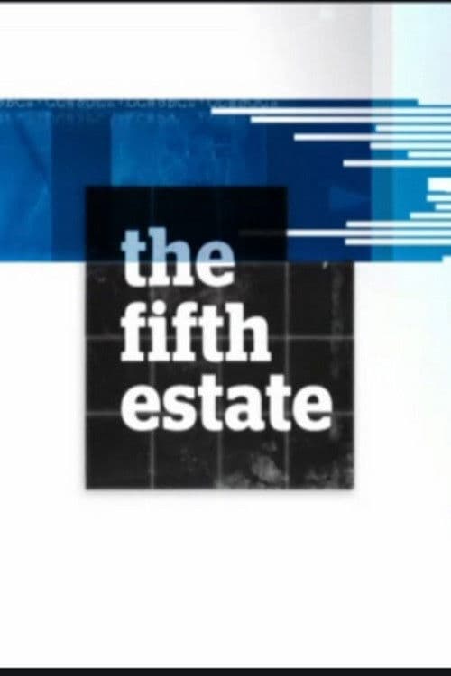 Постер: The Fifth Estate