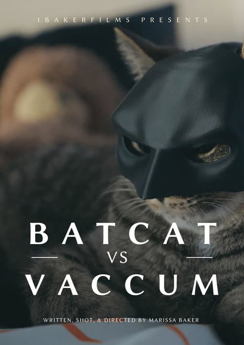 Постер: BatCat vs Vacuum