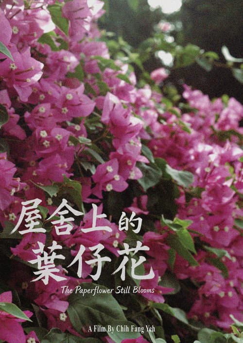 Постер: 屋舍上的葉仔花