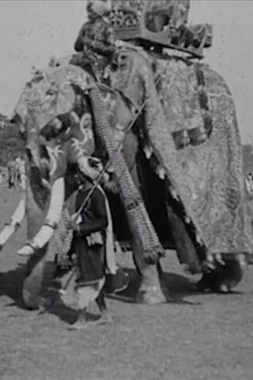 Постер: Calcutta Pageant