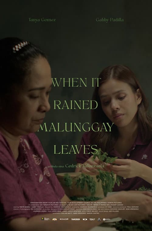 Постер: When It Rained Malunggay Leaves