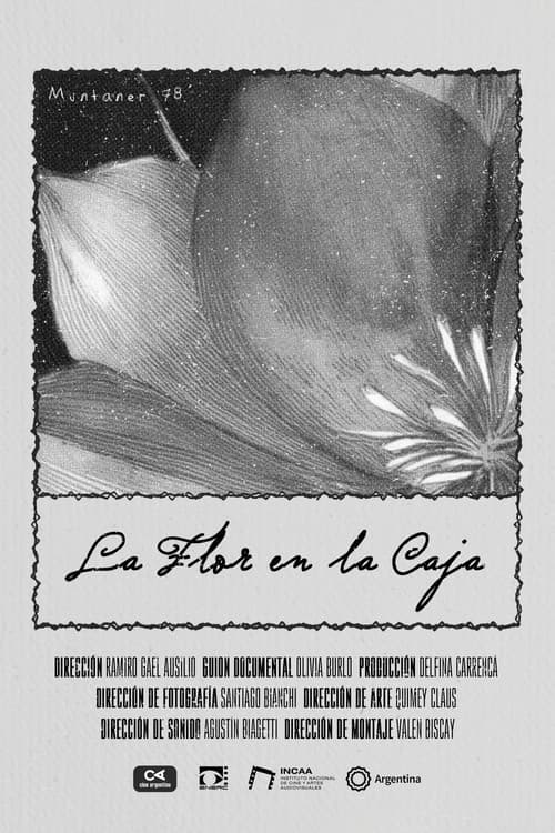 Постер: La Flor en la Caja
