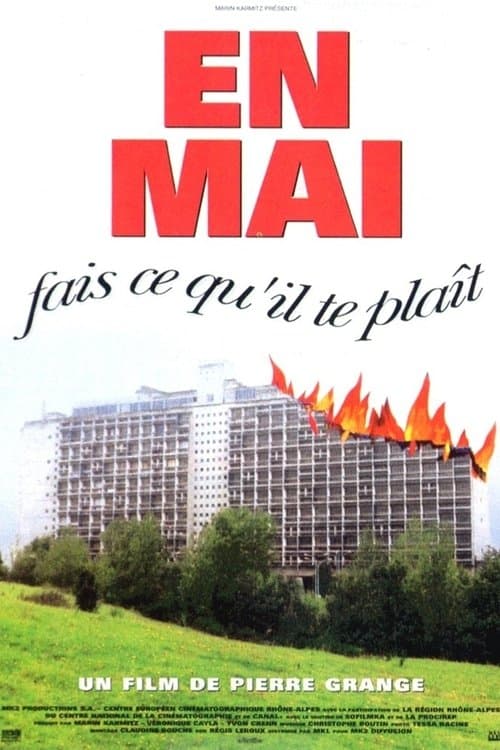 Постер: En mai, fais ce qu'il te plaît