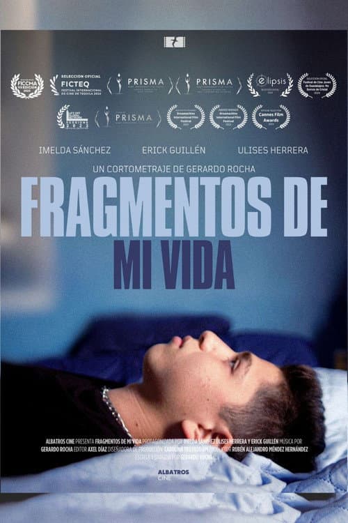 Постер: Fragmentos de mi Vida