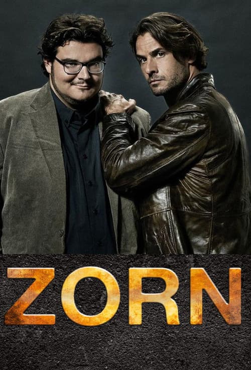 Постер: Zorn