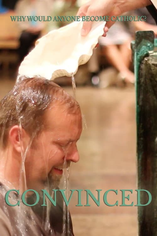 Постер: Convinced