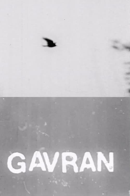 Постер: Gavran