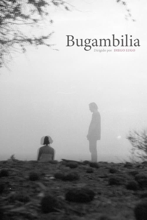 Постер: Bugambilia