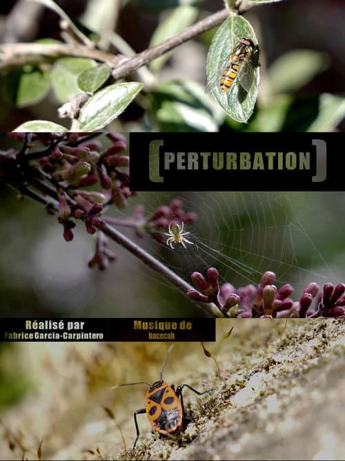 Постер: Perturbation
