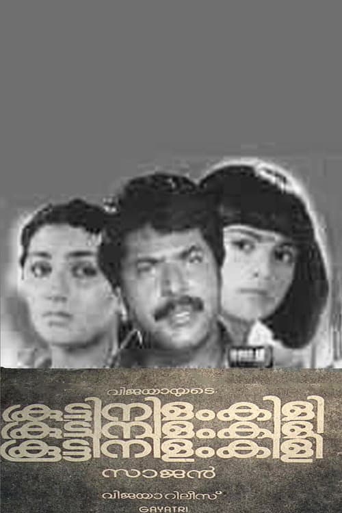 Постер: കൂട്ടിനിളംകിളി