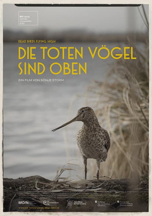 Постер: Die toten Vögel sind oben