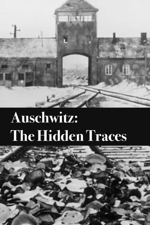 Постер: Auschwitz: The Hidden Traces