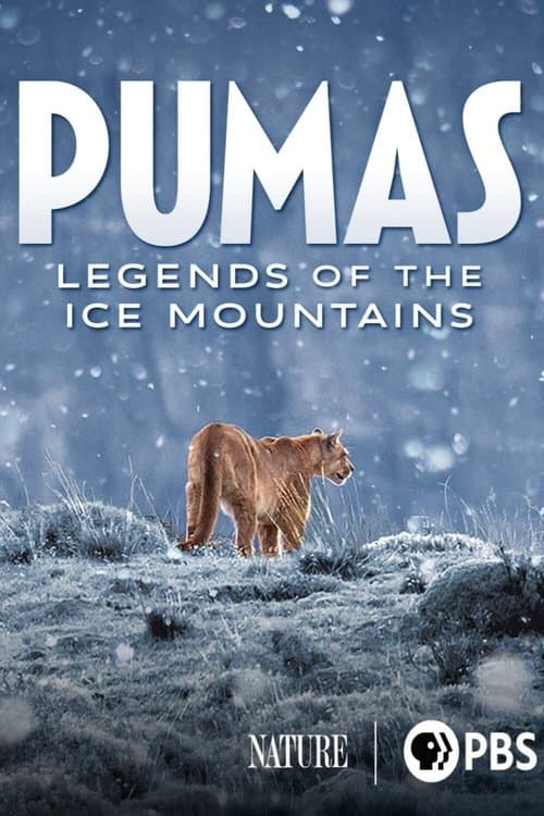 Постер: Pumas: Legends of the Ice Mountains