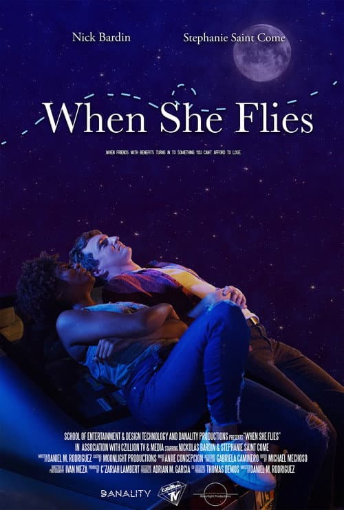 Постер: When She Flies