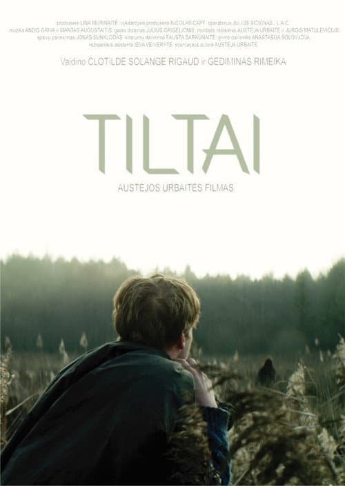 Постер: Tiltai