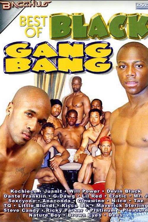 Постер: Best of Black Gang Bang