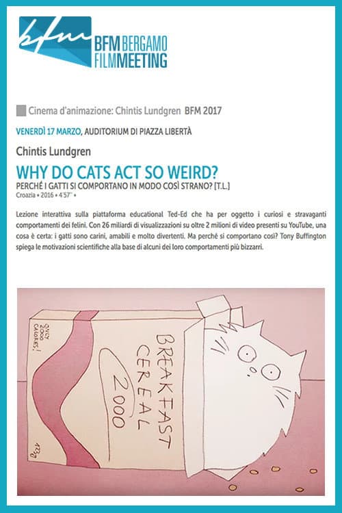 Постер: Why Do Cats Act So Weird?