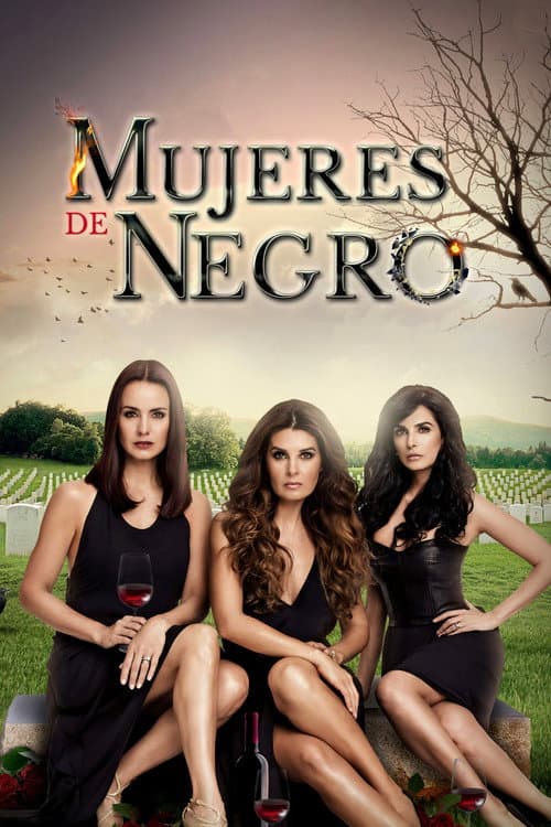 Постер: Mujeres de Negro