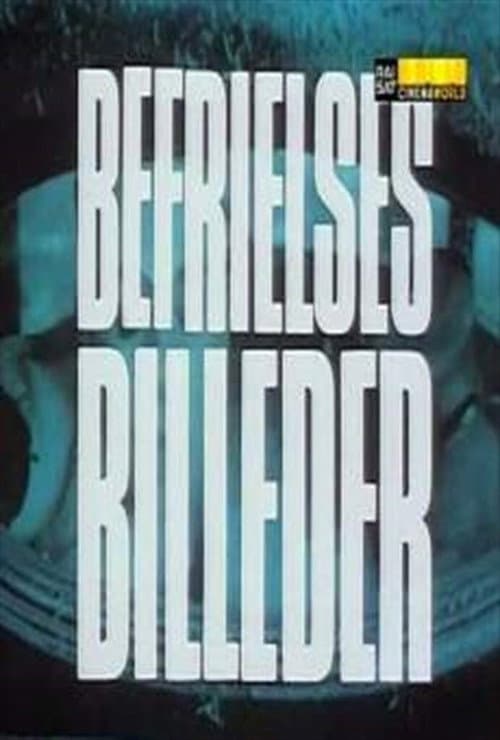 Постер: Befrielsesbilleder