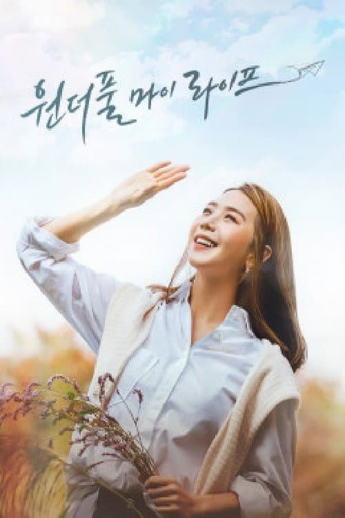 Постер: 원더풀 마이 라이프