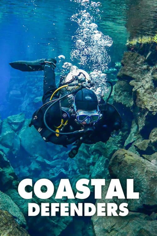 Постер: Coastal Defenders