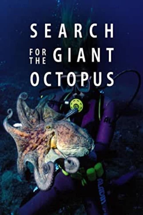 Постер: Search for the Giant Octopus